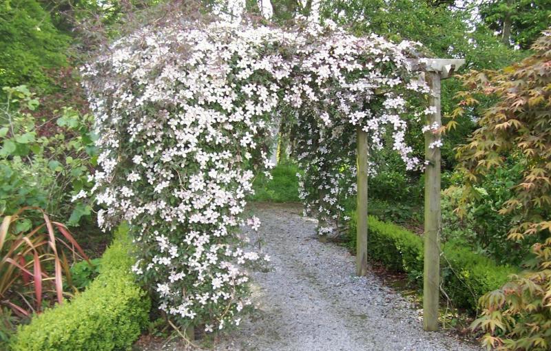 Clematis Covered Archway, Garden Construction by Kilmore Landscapes